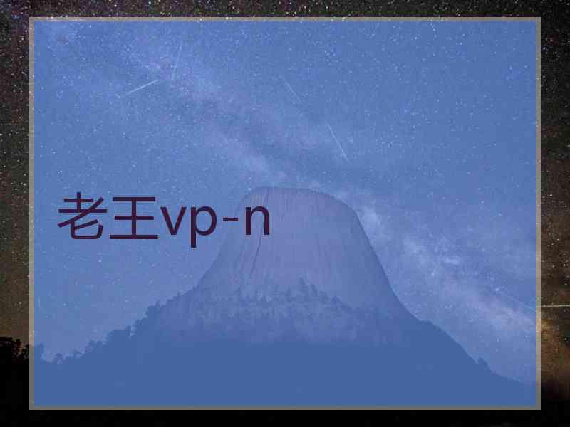 老王vp-n