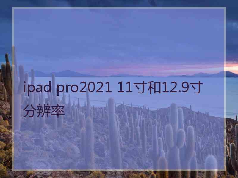 ipad pro2021 11寸和12.9寸分辨率