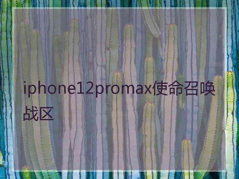 iphone12promax使命召唤战区