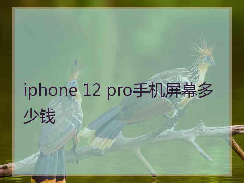 iphone 12 pro手机屏幕多少钱