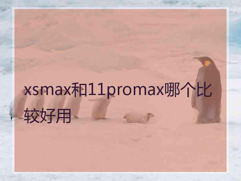 xsmax和11promax哪个比较好用