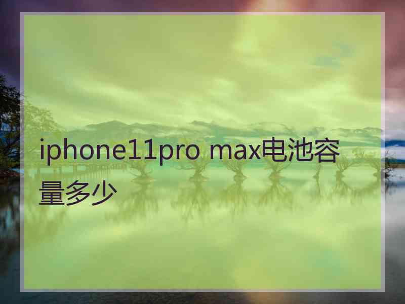 iphone11pro max电池容量多少