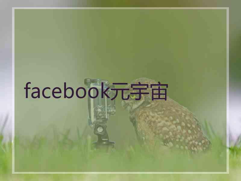 facebook元宇宙