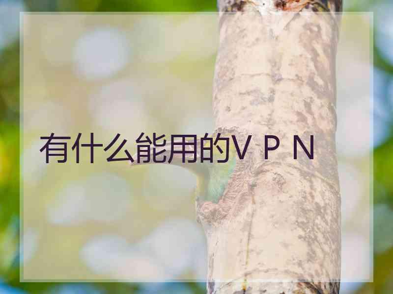 有什么能用的V P N