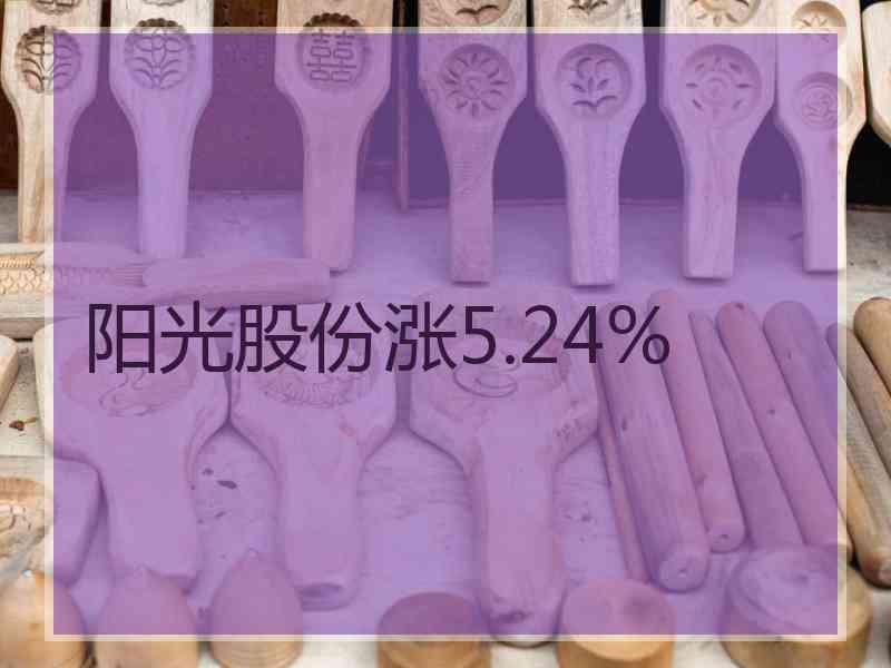 阳光股份涨5.24%