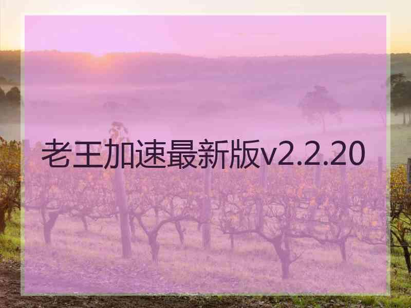 老王加速最新版v2.2.20