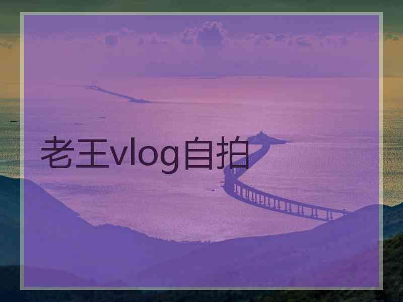 老王vlog自拍