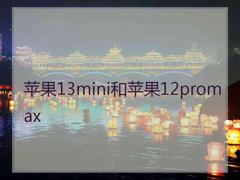 苹果13mini和苹果12promax