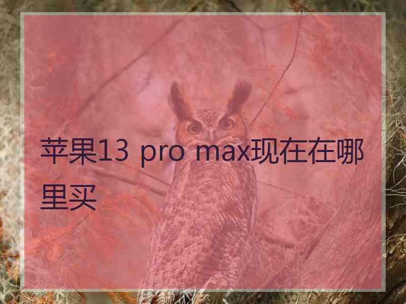 苹果13 pro max现在在哪里买