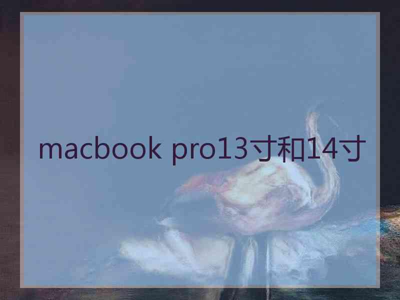 macbook pro13寸和14寸