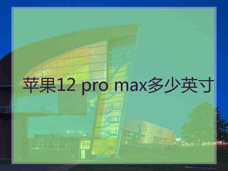 苹果12 pro max多少英寸