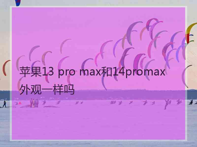 苹果13 pro max和14promax外观一样吗