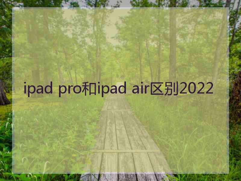 ipad pro和ipad air区别2022