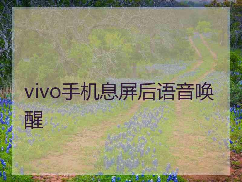 vivo手机息屏后语音唤醒