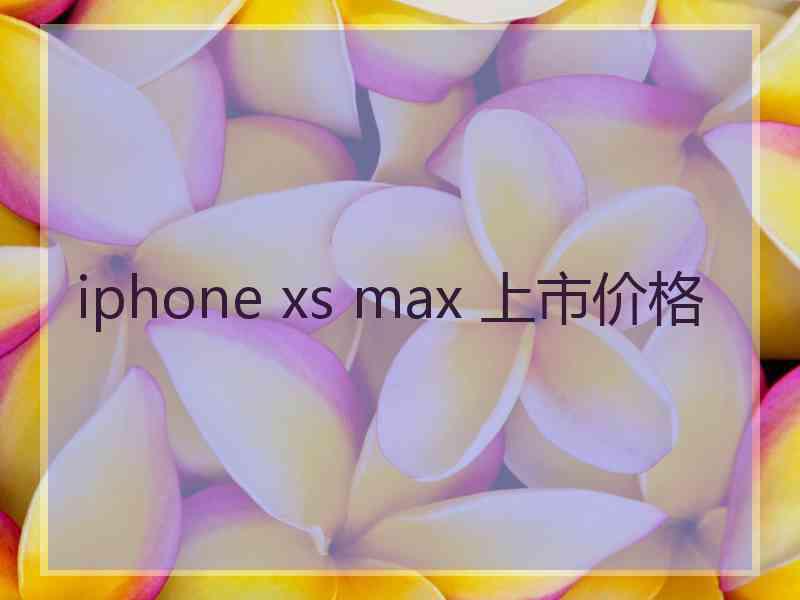 iphone xs max 上市价格