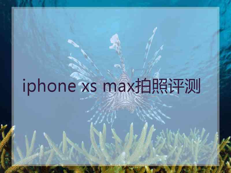 iphone xs max拍照评测