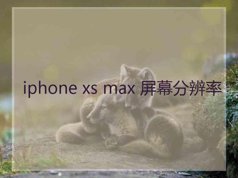 iphone xs max 屏幕分辨率