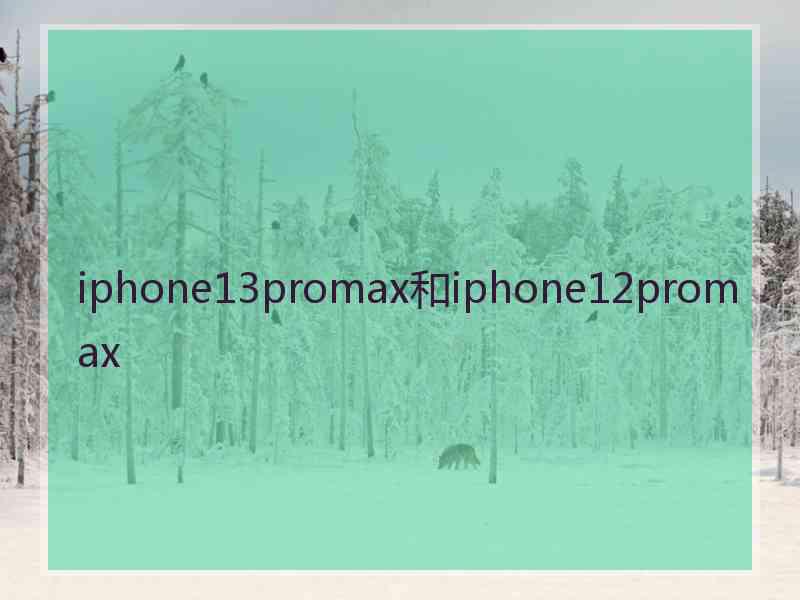 iphone13promax和iphone12promax