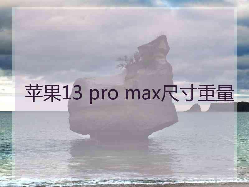 苹果13 pro max尺寸重量