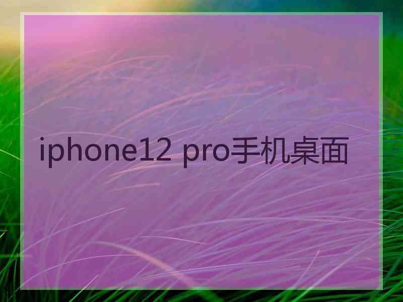 iphone12 pro手机桌面