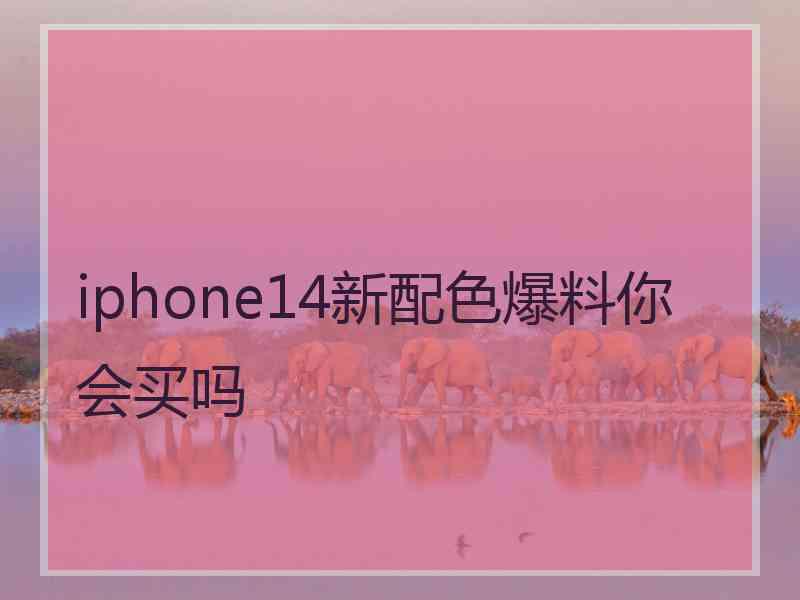 iphone14新配色爆料你会买吗