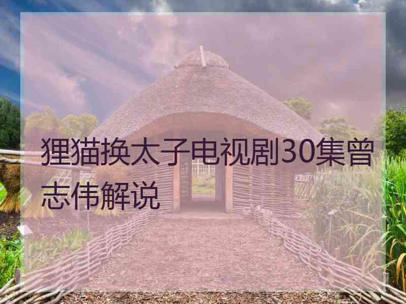 狸猫换太子电视剧30集曾志伟解说