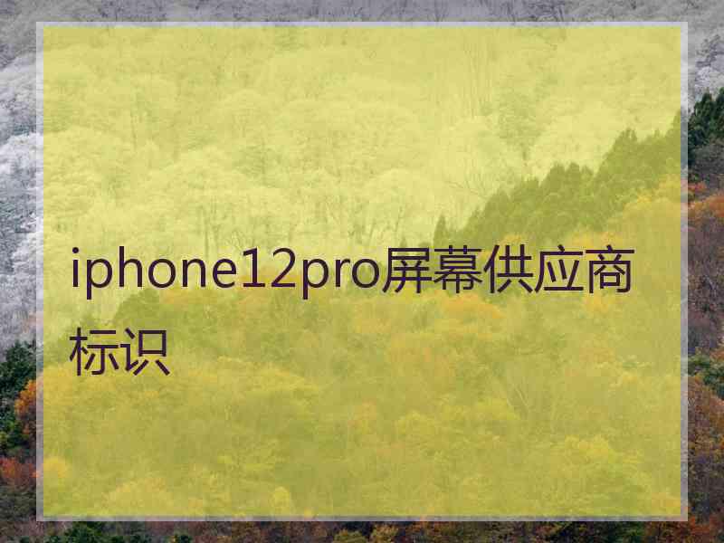 iphone12pro屏幕供应商标识