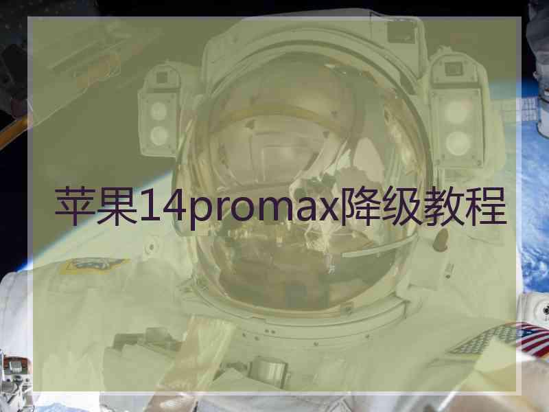 苹果14promax降级教程