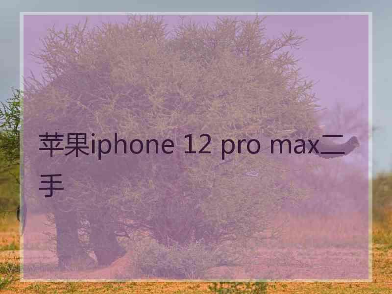 苹果iphone 12 pro max二手