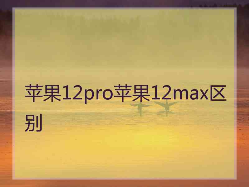 苹果12pro苹果12max区别