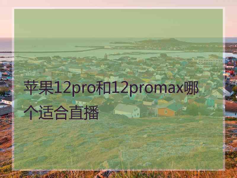 苹果12pro和12promax哪个适合直播