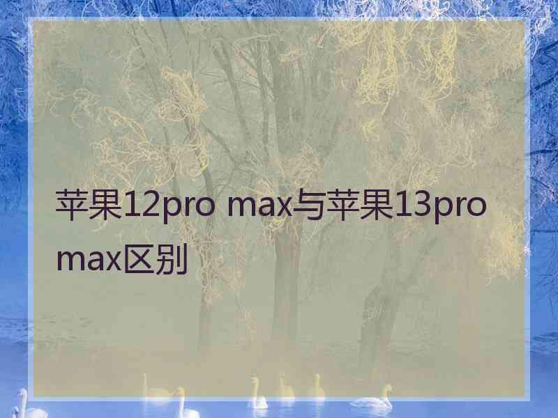 苹果12pro max与苹果13promax区别