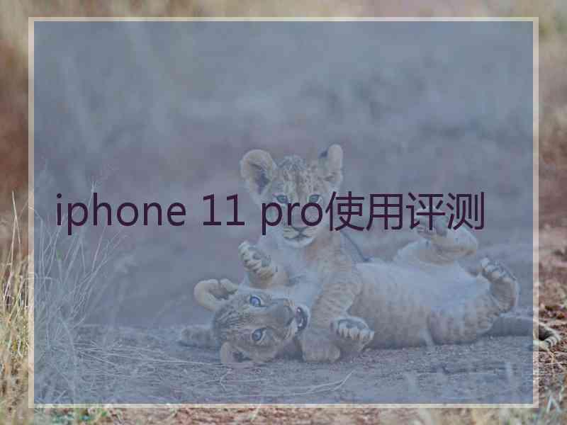 iphone 11 pro使用评测