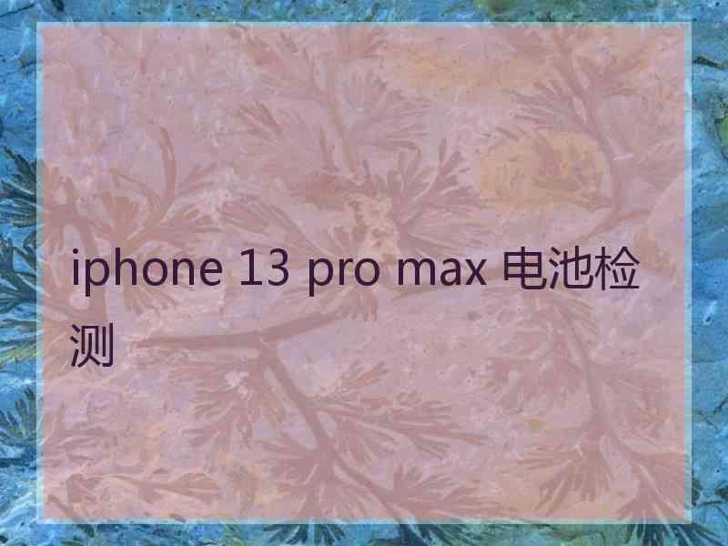 iphone 13 pro max 电池检测