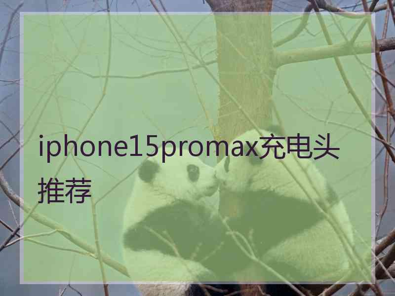 iphone15promax充电头推荐