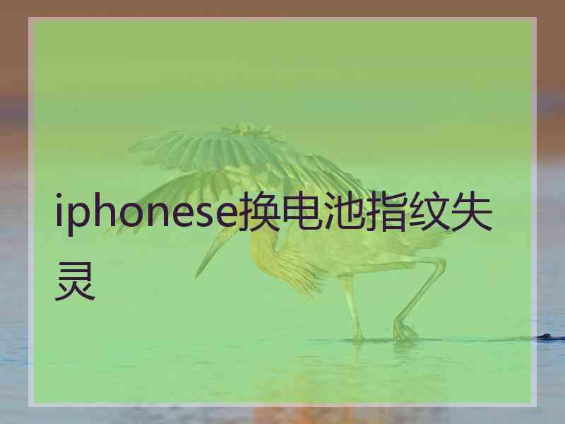 iphonese换电池指纹失灵