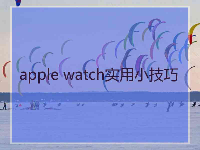 apple watch实用小技巧