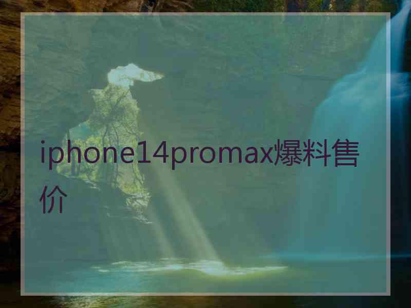 iphone14promax爆料售价