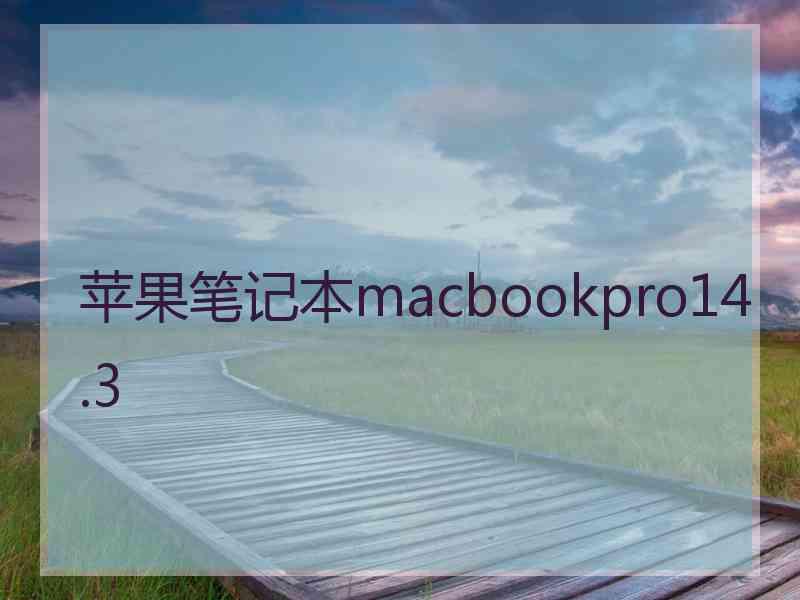 苹果笔记本macbookpro14.3