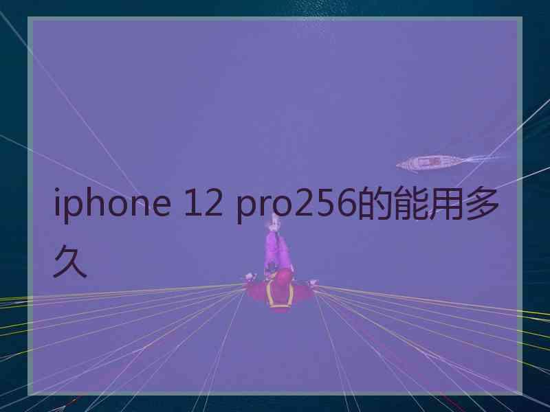 iphone 12 pro256的能用多久