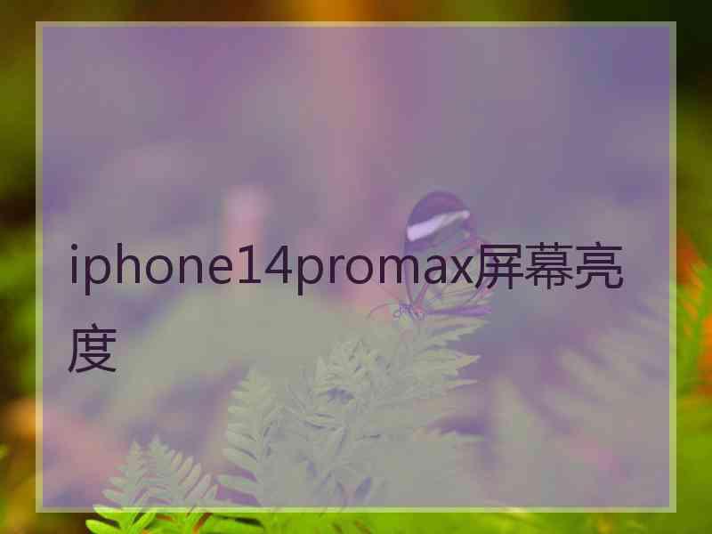 iphone14promax屏幕亮度