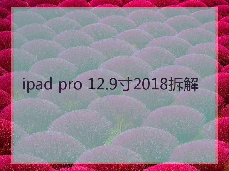 ipad pro 12.9寸2018拆解