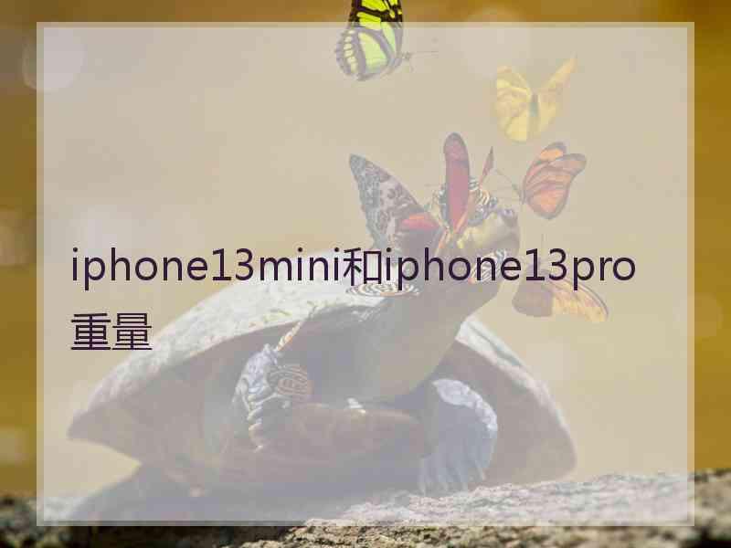 iphone13mini和iphone13pro重量