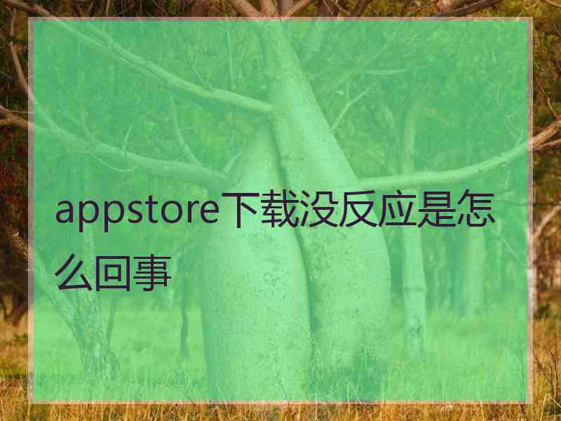 appstore下载没反应是怎么回事