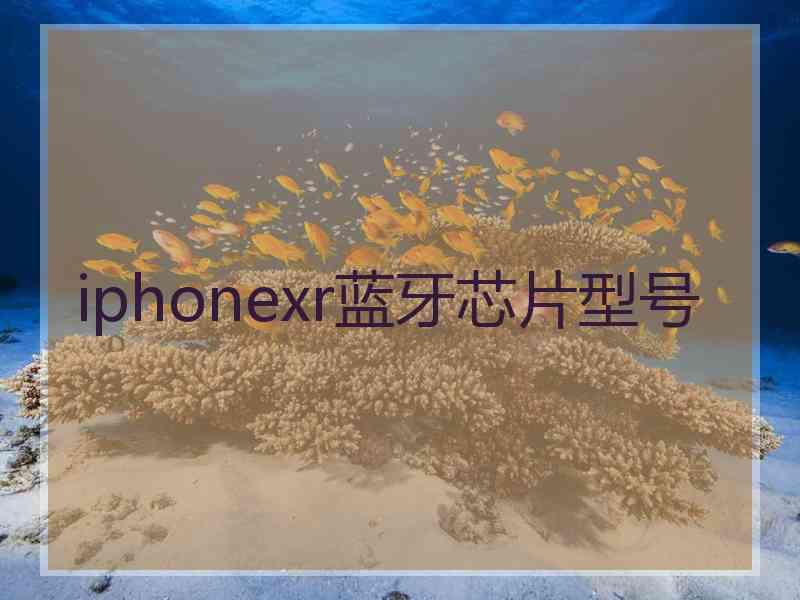 iphonexr蓝牙芯片型号