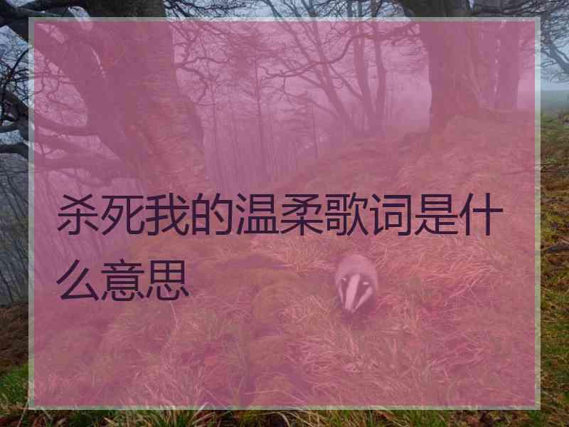 杀死我的温柔歌词是什么意思