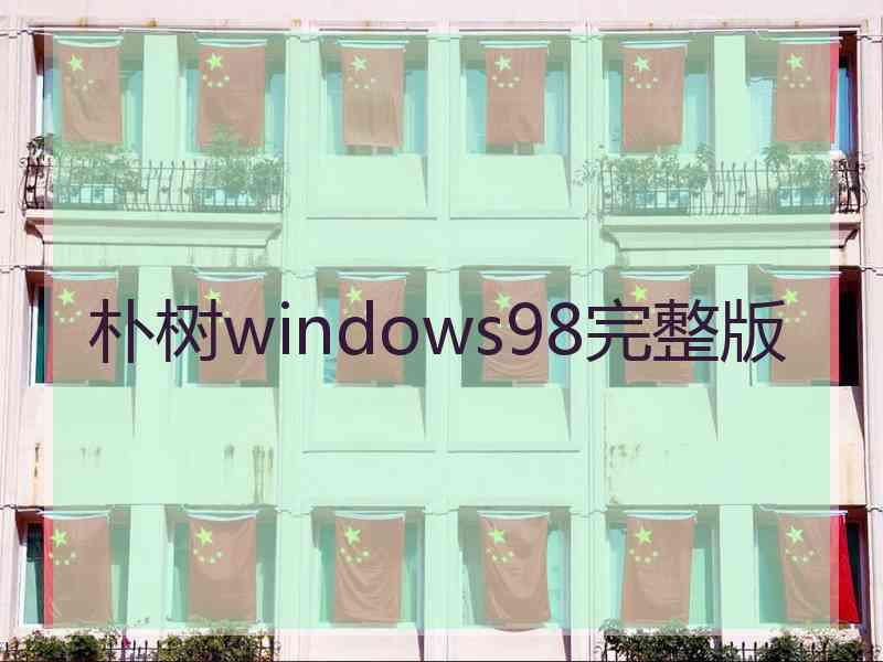 朴树windows98完整版