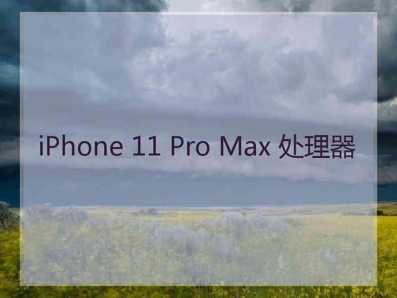 iPhone 11 Pro Max 处理器