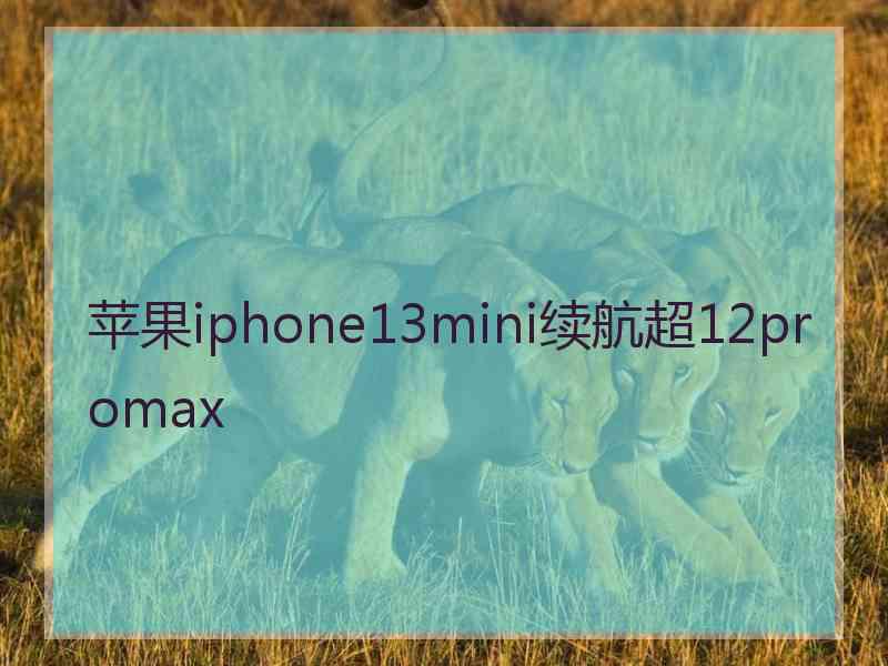 苹果iphone13mini续航超12promax