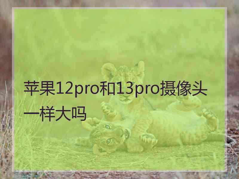 苹果12pro和13pro摄像头一样大吗